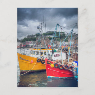 Fishing Boats in Oban Harbour Postcard