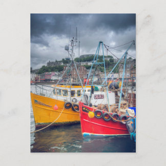 Fishing Boats in Oban Harbour Postcard