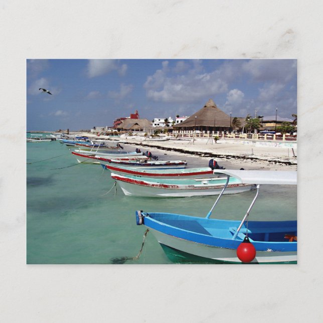Fishing Boats Postcard (Front)