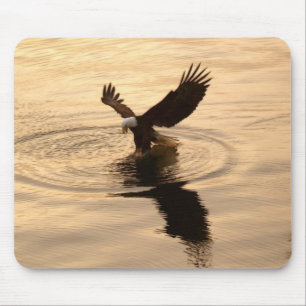 Fishing Eagle Mouse Pad