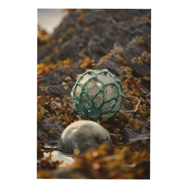 Fishing float in tide pool, Alaska Wood Wall Art (Front)