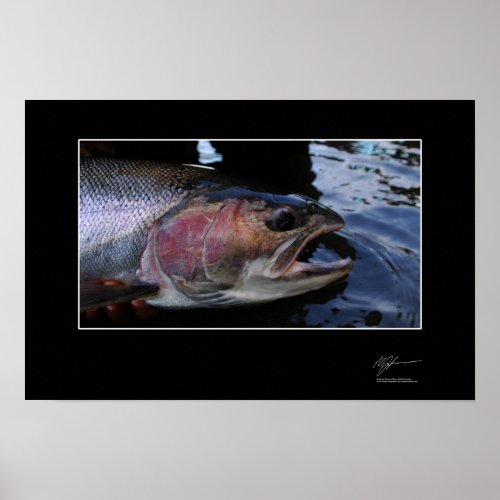 Fishing for steelhead in BC Poster