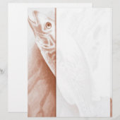 Fishing Letterhead (Front/Back)