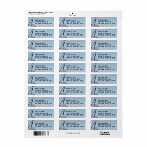 Fishing Lure Return Address Label