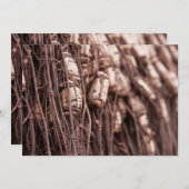 Fishing net (Front/Back)