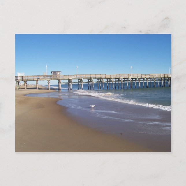 Fishing Pier at Sandbridge, VA. Postcard (Front)