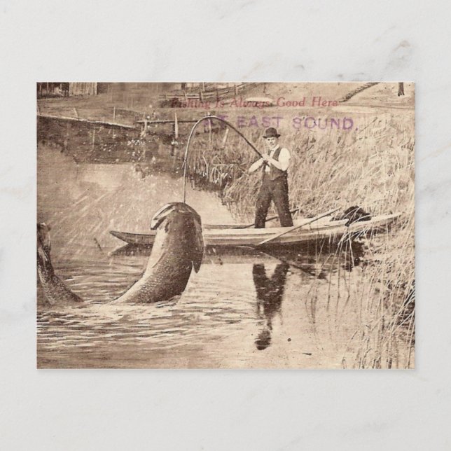 Fishing... Postcard (Front)