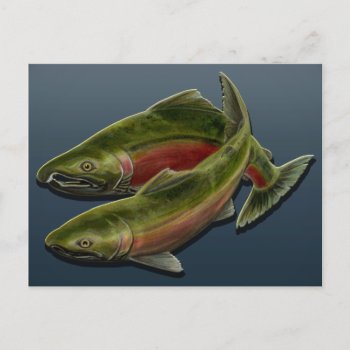 Fishing Postcard Custom Salmon Fish Art Postcards by artist_kim_hunter at Zazzle