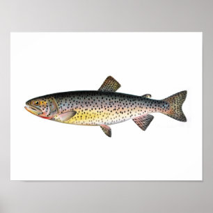 Fishing poster - Tahoe Trout Fish