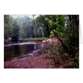 Fishing Time (Front Horizontal)