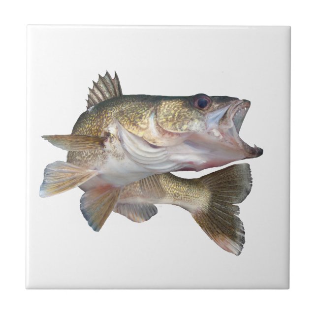 Fishing Walleye Ceramic Tile (Front)