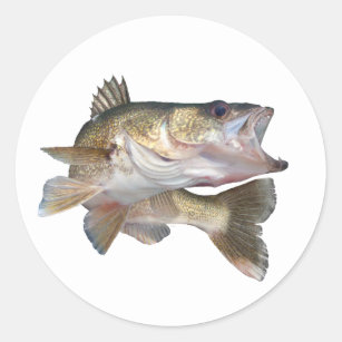 Fishing Walleye Classic Round Sticker