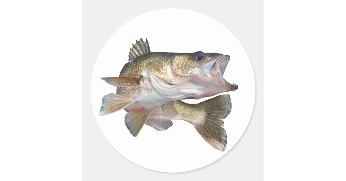 Fishing Walleye Classic Round Sticker | Zazzle