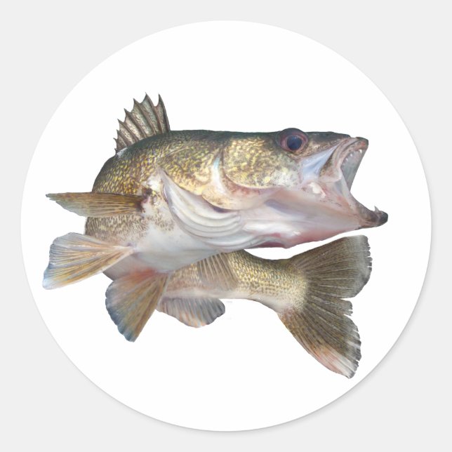 Fishing Walleye Classic Round Sticker (Front)