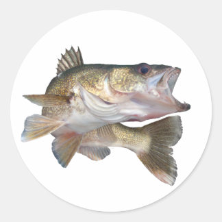 Fishing Walleye Classic Round Sticker