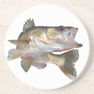 Fishing Walleye Sandstone Coaster