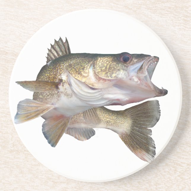 Fishing Walleye Sandstone Coaster (Front)