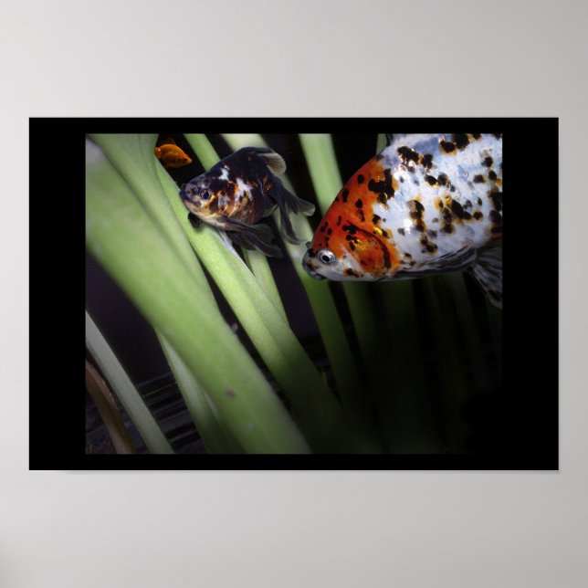 fishy business poster (Front)