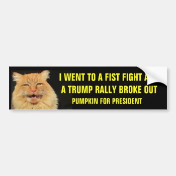 Fist Fight Trump Rally  Pumpkin For President Bumper Sticker by talkingbumpers at Zazzle