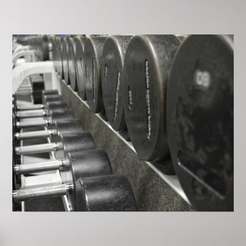 Fitness Free Weights Poster