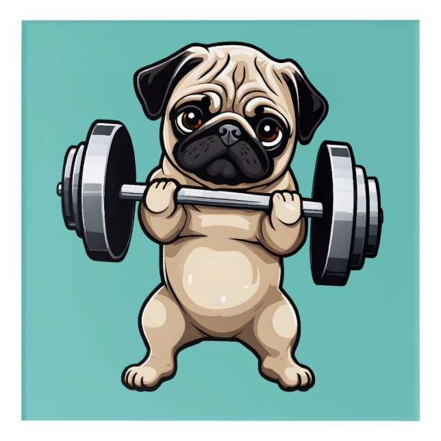 Fitness Pug Acrylic Print (Front)