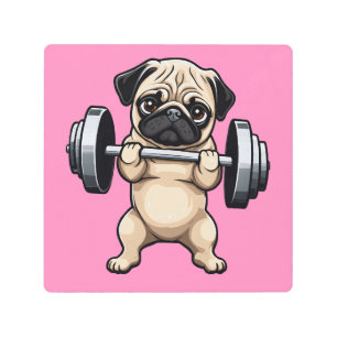 Fitness Pug Metal Print