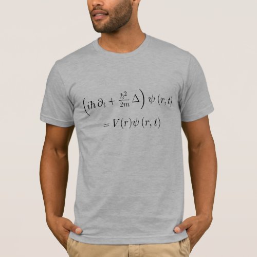 Fitted shirt Schrodinger wave equation printed T_Shirt