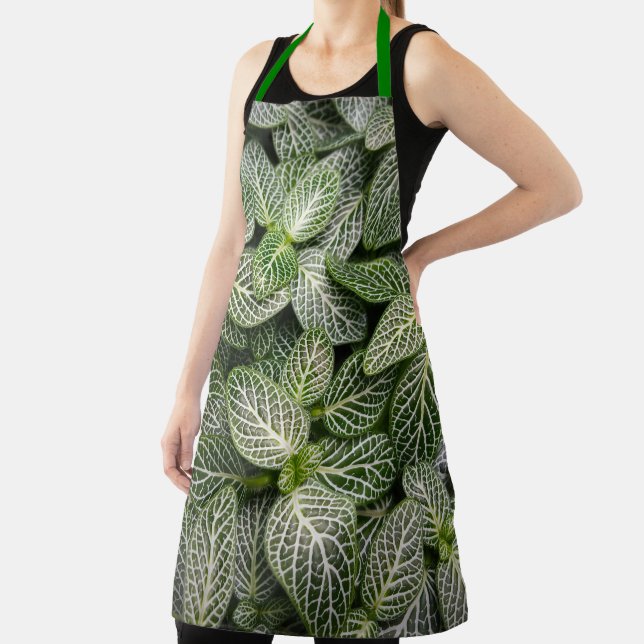 Fittonia Mosaic Plant with Variegated Leaves Apron (Insitu)