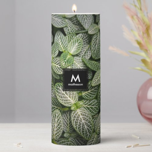 Fittonia Mosaic Plant with Variegated Leaves Pillar Candle