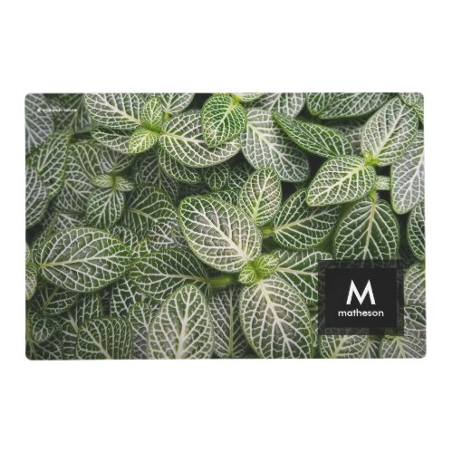 Fittonia Mosaic Plant with Variegated Leaves Placemat