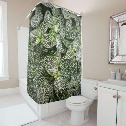 Fittonia Mosaic Plant with Variegated Leaves Shower Curtain