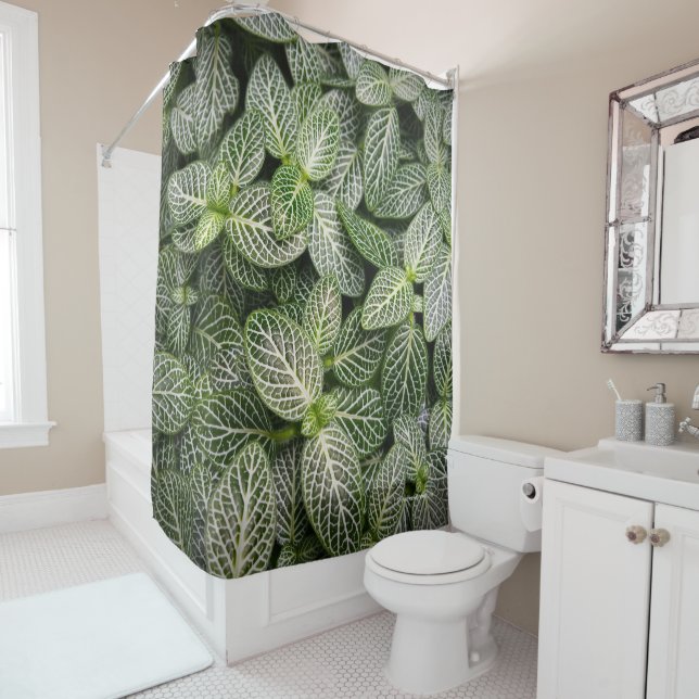 Fittonia Mosaic Plant with Variegated Leaves Shower Curtain (In Situ)