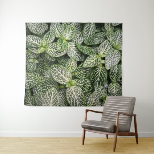 Fittonia Mosaic Plant with Variegated Leaves Tapestry