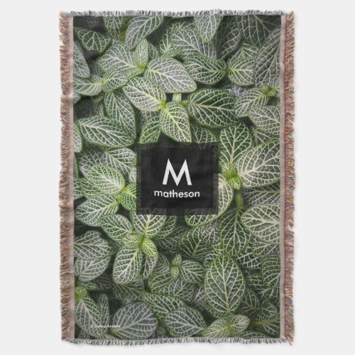 Fittonia Mosaic Plant with Variegated Leaves Throw Blanket