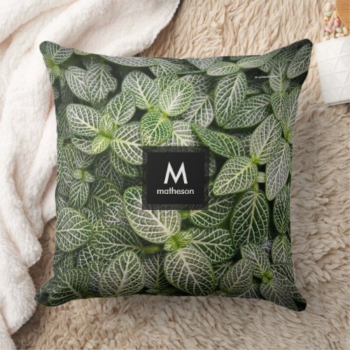 Fittonia Mosaic Plant with Variegated Leaves Throw Pillow