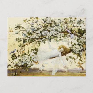 Fitzgerald's 'Ariel' Postcard