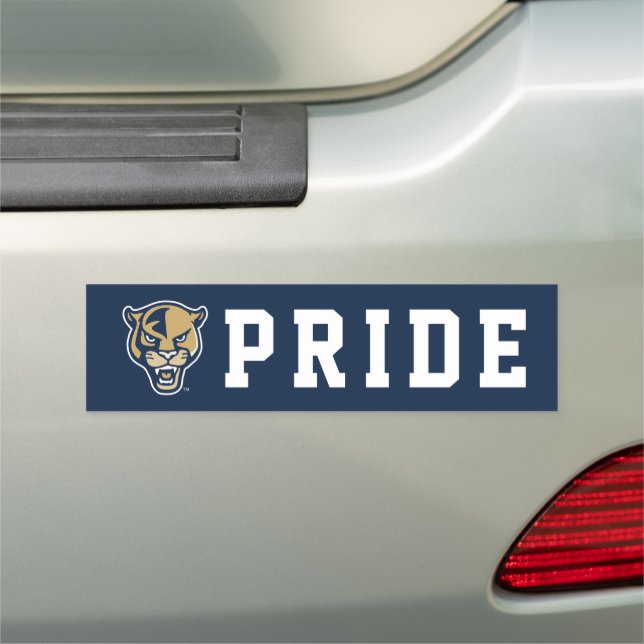FIU Panther Head Car Magnet (In Situ)