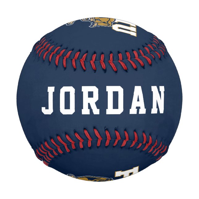 FIU Panthers Baseball (Back)