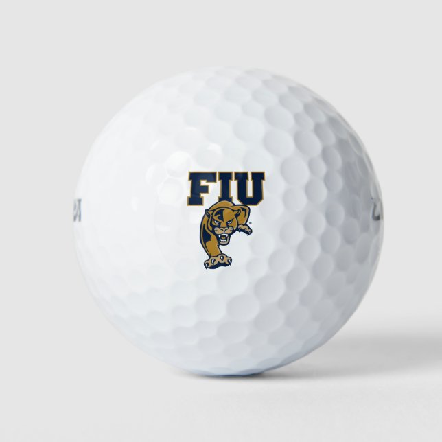 FIU Panthers Golf Balls (Front)