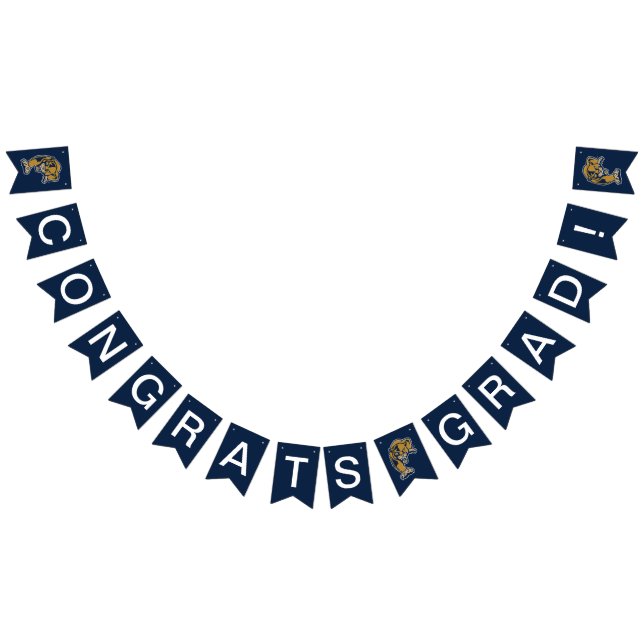 FIU Panthers Graduation Bunting Flags (All)