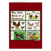 Five Birds of Christmas (Front)