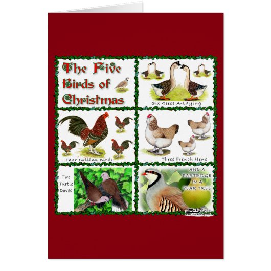 Five Birds of Christmas Cards (Front)