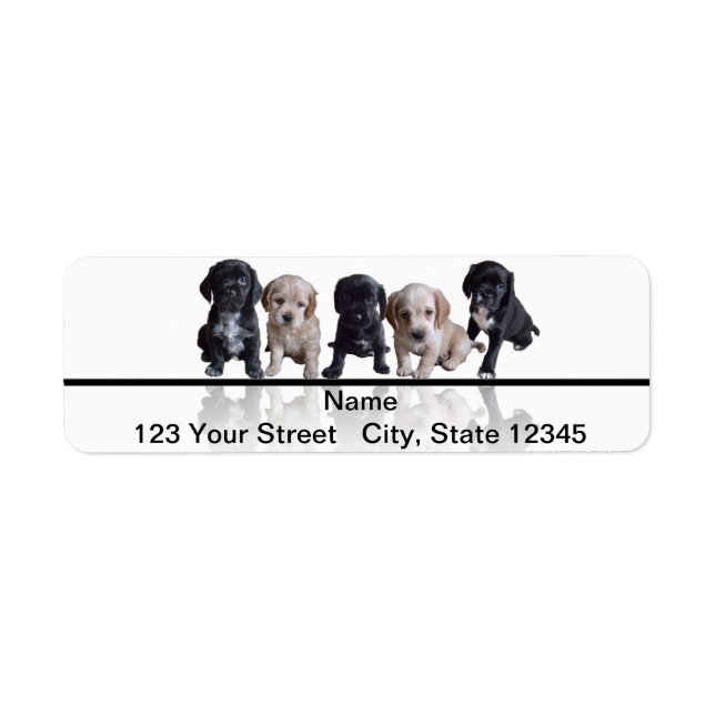 Five Black and Tan Cocker Spaniel Puppies Label (Front)