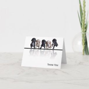 Five Black and Tan Cocker Spaniel Puppies Letterpress Thank You Card