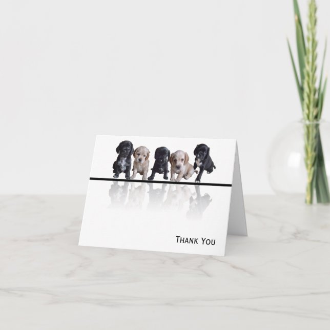 Five Black and Tan Cocker Spaniel Puppies Letterpress Thank You Card (Front)