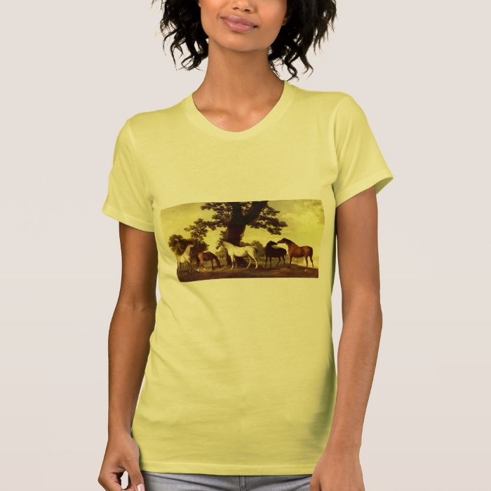 Five Brood Mares  by George Stubbs Shirts