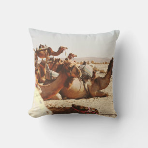 FIVE CAMELS ON FIELD THROW PILLOW