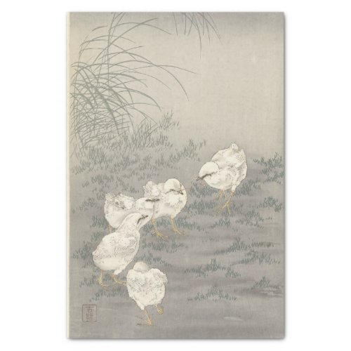 Five Chicks by Ohara Koson Tissue Paper