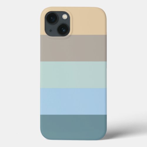Five Color Combo _Blue Brown Sand Beige Turquoise  iPhone 13 Case