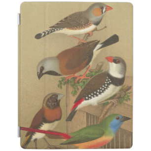 Five Colorful Pet Birds Perched on a Branch iPad Smart Cover